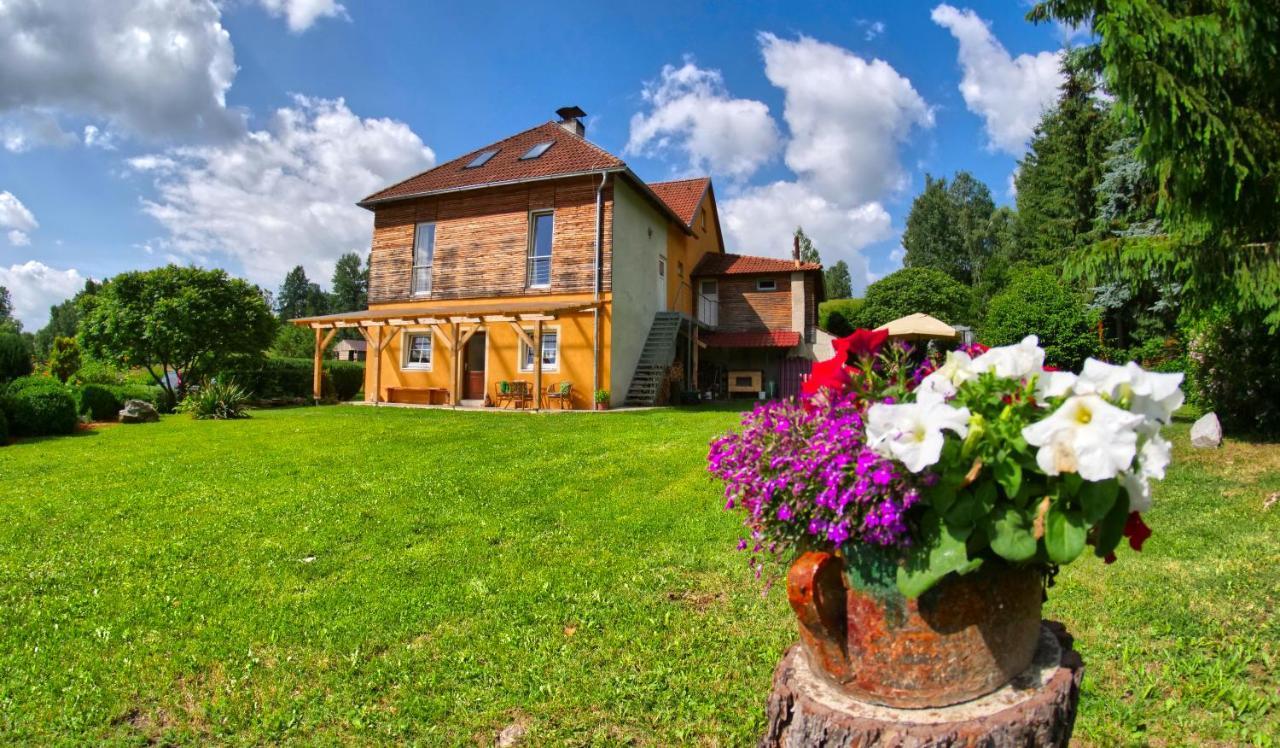 Chalupa Jenín Dolní Dvořiště Exterior foto